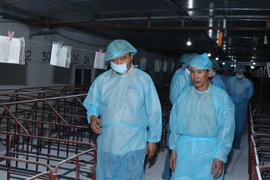 Thủ tướng Nguyễn Xuân Phúc đi kiểm tra tình hình phòng, chống dịch tả lợn châu Phi tại Hợp tác xã nông nghiệp hữu cơ Tiên Dương. (Ảnh: Thống Nhất/TTXVN)