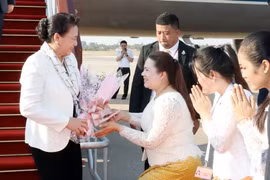 (Ảnh: Trọng Đức/TTXVN)
