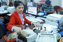Ảnh minh họa. (Nguồn: TTXVN)