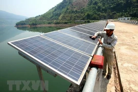 Ảnh minh họa. (Nguồn: TTXVN)