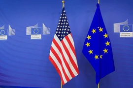 (Nguồn: Euronews)