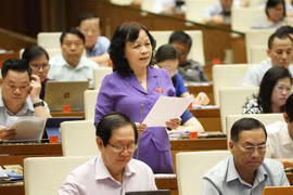 Đại biểu Quốc hội tỉnh Đồng Tháp Nguyễn Thị Mai Hoa phát biểu ý kiến. (Ảnh: Doãn Tấn/TTXVN)