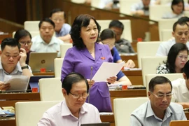 Đại biểu Quốc hội tỉnh Đồng Tháp Nguyễn Thị Mai Hoa phát biểu ý kiến. (Ảnh: Doãn Tấn/TTXVN)
