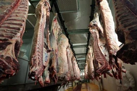 Một lò mổ bò ở Ba Lan. (Ảnh: Reuters/TTXVN)