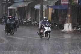 Ảnh minh họa. (Nguồn: TTXVN)