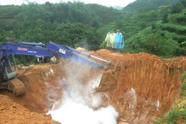 Lực lượng chức năng tỉnh Yên Bái rắc vôi, tiêu hủy lợn nhiễm bệnh. (Ảnh: Ngọc Anh/TTXVN)