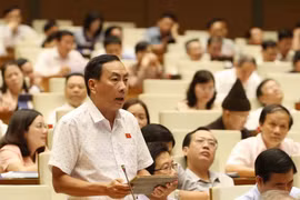 Đại biểu Quốc hội tỉnh Đồng Tháp Phạm Văn Hòa phát biểu. (Ảnh: Phương Hoa/TTXVN)