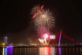 (Ảnh: Trần Lê Lâm/TTXVN)