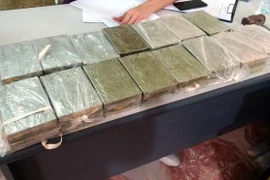 Tang vật của vụ án. (Ảnh: Mạnh Tú/TTXVN)