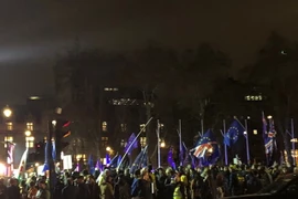  (Ảnh: Diễm Quỳnh/Vietnam+)