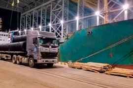 (Nguồn: Hoaphat.com.vn)