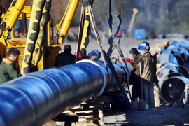 Đường ống dẫn dầu Druzhba. (Nguồn: TASS)