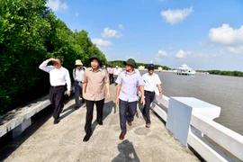  Bộ trưởng Bộ Nông nghiệp và Phát triển nông thôn Nguyễn Xuân Cường kiểm tra tình hình sạt lở tại tuyến bờ kè Đất Mũi, xã Đất Mũi, huyện Ngọc Hiển. (Ảnh: Huỳnh Thế Anh/TTXVN)