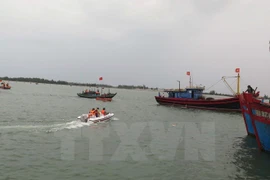 Ảnh minh họa. (Nguồn: TTXVN)