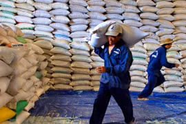 Bốc xếp gạo phục vụ xuất khẩu. (Ảnh: Duy Khương/TTXVN)