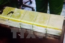 Tang vật một vụ buôn ma túy. (Ảnh minh họa. Nguồn: TTXVN)
