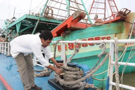 Tàu thuyền của ngư dân neo đậu tránh bão tại thị trấn Thịnh Long, huyện Hải Hậu, tỉnh Nam Định. (Ảnh: Văn Đạt/TTXVN)