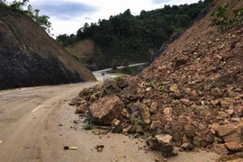 (Ảnh: Xuân Tư/TTXVN)