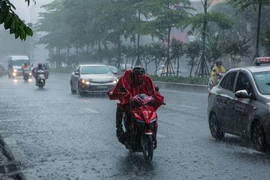 Ở các tỉnh Bắc Bộ, Thanh Hóa và Nghệ An có mưa vừa, mưa to. (Nguồn: Vietnam+)