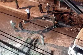 Vì sao cây sưa quý hiếm trên phố Thuốc Bắc bị chặt hạ trong đêm?