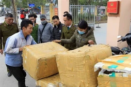 Các lực lượng chức năng kiểm tra lô hàng không rõ nguồn gốc xuất xứ. (Ảnh: An Đăng/TTXVN)