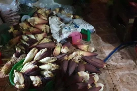 Tang vật vụ việc. (Ảnh: TTXVN)