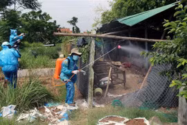 Tiêu độc khử trùng trại gà bị chết do bệnh dịch H5N6. (Ảnh: Thế Lập/TTXVN)