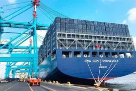 Tàu chở hàng hóa xuất nhập khẩu tại cảng Port Elizabeth của Nam Phi. (Ảnh: Phi Hùng/TTXVN)