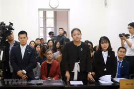 Nguyên đơn là Công ty cổ phần Tuần Châu Hà Nội và bị đơn là Công ty DS do đạo diễn Việt Tú (đứng thứ nhất bên trái) làm giám đốc. (Ảnh: Doãn Tấn/TTXVN)
