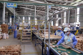 Công nhân làm việc tại dây chuyền chế biến gỗ công nghiệp thuộc Công ty cổ phần Woodsland Tuyên Quang. (Ảnh: Vũ Quang/TTXVN)