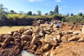 Hàng trăm khối đá lớn nằm la liệt trong khu vực rẫy cà phê của ông Thủy. (Ảnh: Quang Thái/TTXVN)