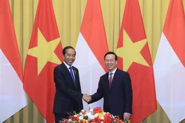 Chủ tịch nước Võ Văn Thưởng với Tổng thống Cộng hòa Indonesia Joko Widodo tại buổi hội đàm. (Ảnh: Thống Nhất/TTXVN)