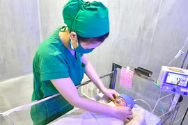 Trẻ sơ sinh sau khi được cấp cứu thành công. (Ảnh: Ánh Tuyết/TTXVN)