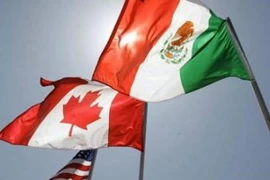 (Nguồn: todayville.com)