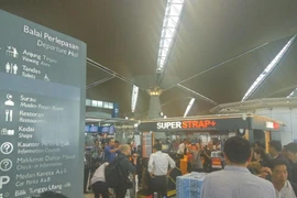 (Ảnh: Lê Lương Hòa/Vietnam+)