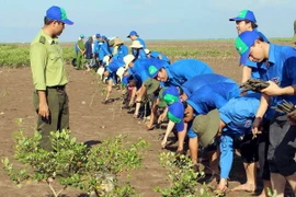 Gắn kết chặt chẽ các Bộ, ngành trong ứng phó với biến đổi khí hậu