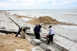 Xây dựng và thực hiện đồng bộ kế hoạch ứng phó biến đổi khí hậu