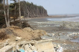 Tăng cường năng lực để chủ động ứng phó với biến đổi khí hậu