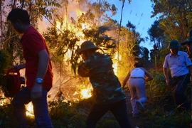 (Ảnh minh họa: Nguyễn Hoàng/TTXVN)