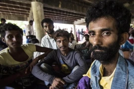 700 người di cư được cứu sống ở ngoài khơi Indonesia