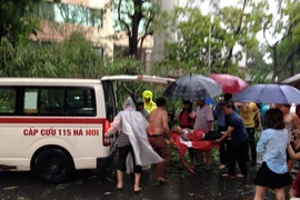 [Photo] Cây đổ la liệt trên đường phố Hà Nội đè lên ôtô, xe máy