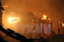 (Ảnh minh họa. Sỹ Tuyên/TTXVN)