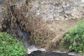 Tây Ninh: Hai doanh nghiệp bị phạt nặng vì gây ô nhiễm môi trường