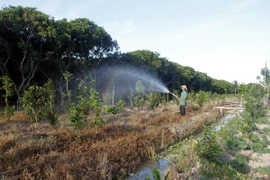 Năm 2015, Vĩnh Long đầu tư gần 1.110 tỷ đồng xây dựng cơ bản