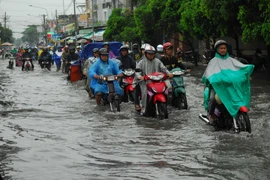 Ảnh minh họa. (Nguồn: Mạnh Linh/TTXVN)