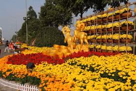 [Photo] Vẻ đẹp của đường hoa nghệ thuật Thành phố mới Bình Dương