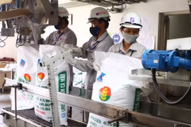 Ngành sản xuất phân urê đứng trước nguy cơ cung vượt cầu 