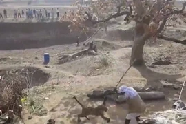 [Video] Người đàn ông cầm gậy chiến đấu với con báo dữ tợn