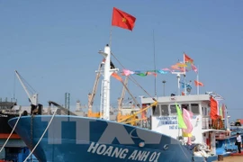 Gấp rút tiến hành xây dựng khu neo trú tàu thuyền ở đảo Lý Sơn