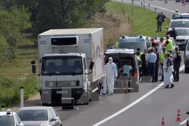 Các điều tra viên tại hiện trường chiếc xe chở người di cư ở khu vực biên giới Áo-Hungary hôm 27/8. (Nguồn: THX/TTXVN)